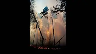 free! lifelessgarments + destroy lonely + tana type beat 