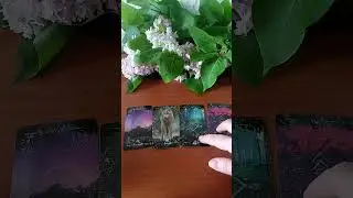 Что говорят волчьи карты♥️🐺🐺🐺💕 #таро #гадание