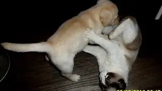 CАМЫЙ ЛУЧШИЙ ПОДАРОК!