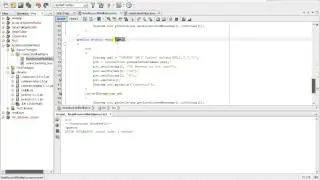 UCANACESS  Insert Query