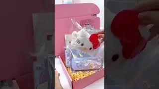 Sanrio Package 😍😍#sanrio