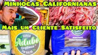 Purchase of Californian Earthworms on Mercado Livre - Another Satisfied Customer