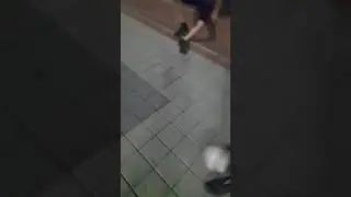 ну тут очевидно (3)