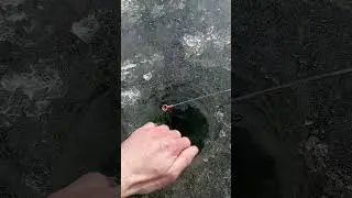 11 февраля 2023 г.