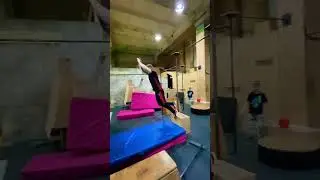 Ассасіни в реальному житті