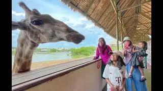 Bawak Kereta Jumpa Pak Belang! - SAFARI WORLD BANGKOK