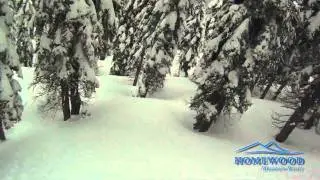 Homewood Mountain Resort - Powder Day