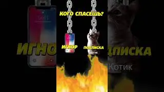 3 апреля 2024 г.