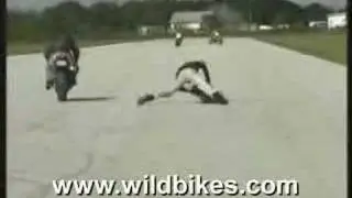 Wild Bikes 1