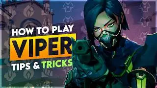 How to play Viper - Setups, Game Theory & more