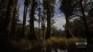 Красота КОРАНА.Сура 