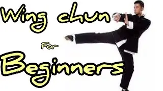 Wing chun Kung fu for beginners step by step / hand , kick , step tutorial / 咏春拳