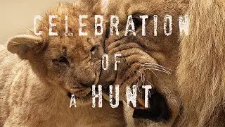 Celebration Of A Hunt | Original Composition | Spitfire Audio