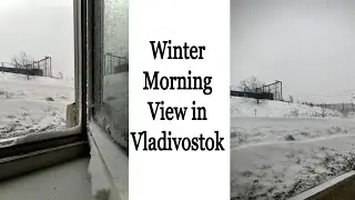 Winter morning view in Vladivostok | Snowfall in Vladivostok|Far eastern federal university|December