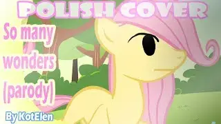 MLP: So many wonders- Dosłowna wersja/Parodia [polish] cover by. KotElen