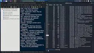 Ep.4 - Learn Kali Linux with an Hour || Basic Commands || Pentester's Pocket Guide