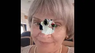 27 октября 2023 г.