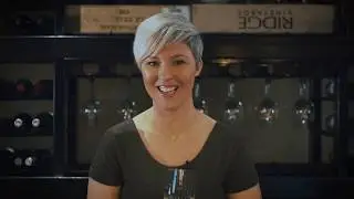 Tasting Fundamentals by The Tasting Class
