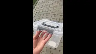 Вадим Южный- Ромашки для любимой