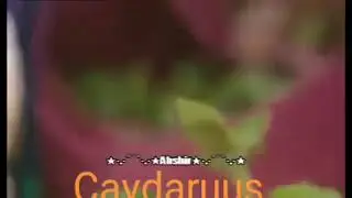 Haba lawaayo Qadka