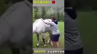 Кунг фу мастер...
