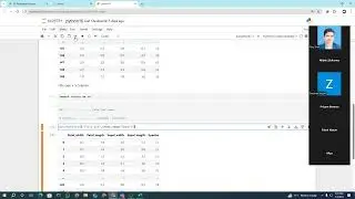 How to Create Point Plot in Python | Seaborn & Matplotlib Tutorial (Python 16)