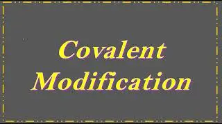 Covalent Modification || Phosphorylation || Enzymes || CUET || NEET