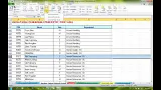 Insert Page Break in Excel 2010
