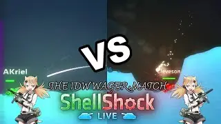 The IDW Wager Match | Shell Shock Live