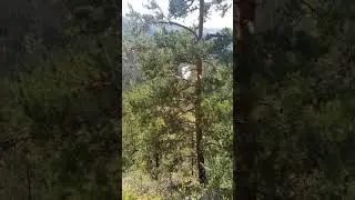 Где то в пути)