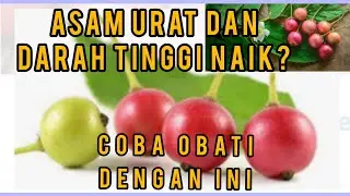 10 MANFAAT TANAMAN BUAH KERSEN BAGI KESEHATAN/KHASIAT BUAH KERSEN/BUAH SERI BAGI KESEHATAN