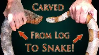 Finding Wood for Carving a Snake Walking Cane