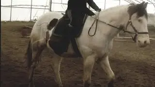 Cours d'équitation du 30 mars + refus