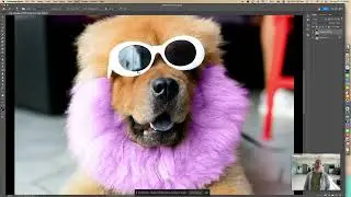 Learn to Paint a Dog in Photoshop
