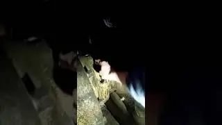 Инструктаж гранулятор