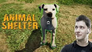 Simon rettet Hunde - Animal Shelter Simulator - GAME MON