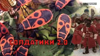 Клоп солдатик, часть 2. По мотивам комментариев. // Clever Cricket