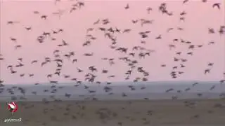 По пути на юг