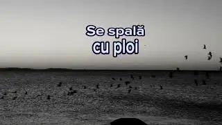 Щёлочь- Наше прошлое лето (Ro.Subs.)