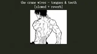 the crane wives - tongues & teeth [slowed + reverb + lyrics]