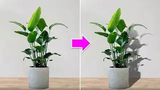 How to Create Perfect Shadows in Photoshop