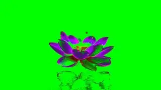 👉latest treding ✨ green screen video ✨! 2022 ! ✨3d animation intro video ✨brain flower 🌺  animated ✨