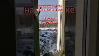 Рыбалка на удалёнке 