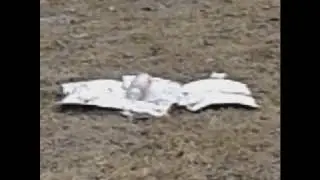 #3 Краш тест балончика,бутылок,и бросок кирпича в воду