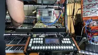Borebrain EQX5