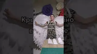 парящие в воздухе #крылья #model