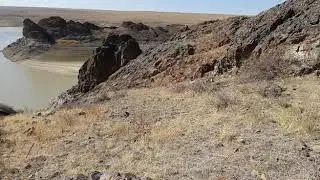 Охота кеклики