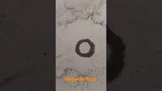 Magnetic field #urduschoolparbhani