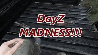 DayZ MADNESS!!! (Highlights Ep4)