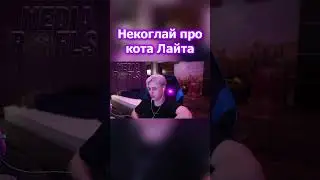 НЕКОГЛАЙ ПРО СВОЕГО КОТА ЛАЙТА